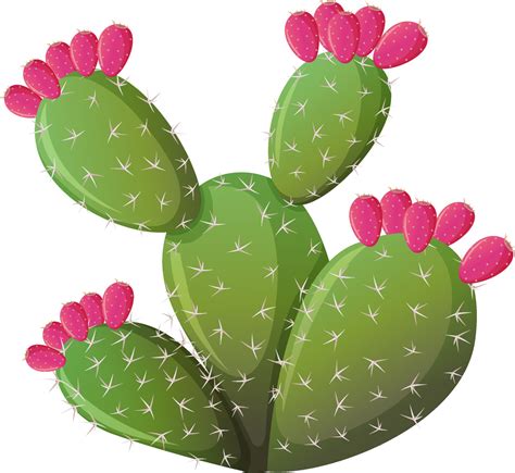 Prickly Pear Cactus Clip Art