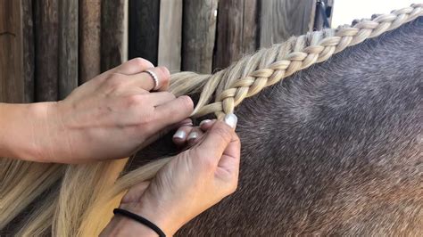 Running French Braid on Horse - YouTube