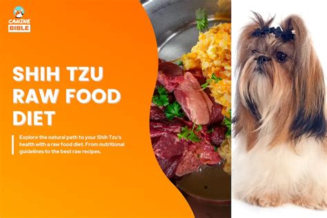 Shih Tzu Raw Food Diet: Guide & Recipes - Canine Bible