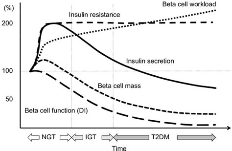 Hypothesis of change in beta cell function and mass during development ...