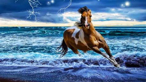 🔥 [0+] Horses on the Beach Wallpapers | WallpaperSafari