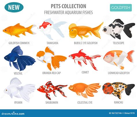 Freshwater Aquarium Fishes Breeds Icon Set Flat Style O Stock Vector ...