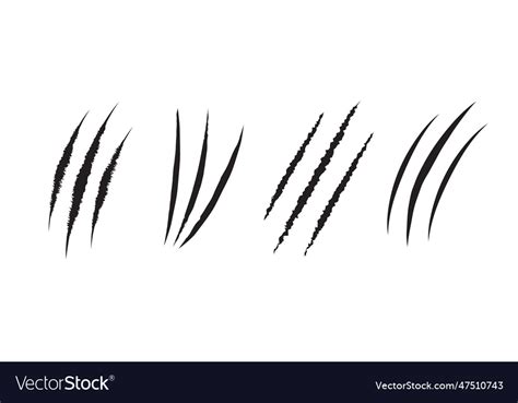 Cat scratch set isolated on white Royalty Free Vector Image