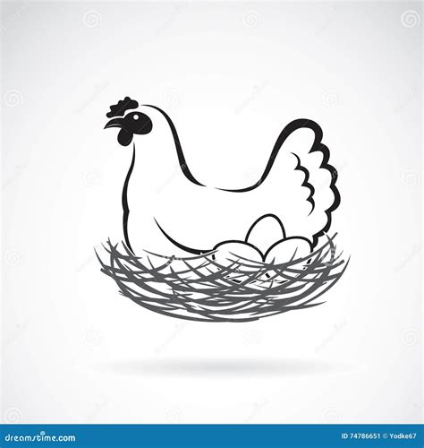 Hen Laying Eggs In Nest. Chicken Cartoon Vector | CartoonDealer.com #209309115