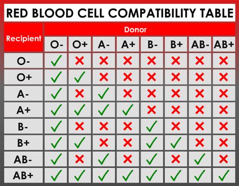 What Are The Rarest Blood Types in the World? Is yours the Most Rare?