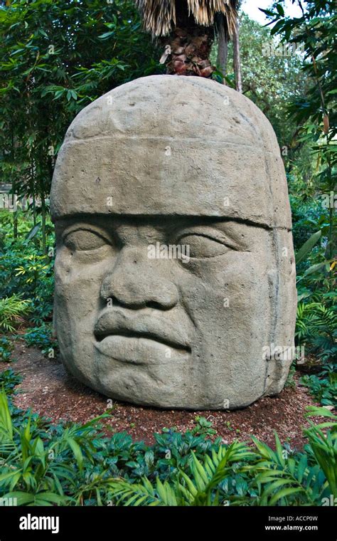 Olmec, Colossal Sculpture Head in National Museum of Anthropology ...