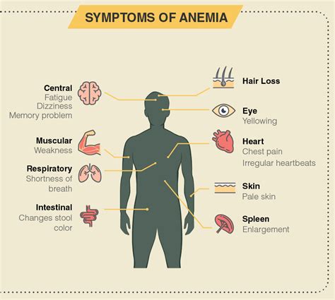 Signs, Symptoms, Causes and Treatment of Anemia - Dr Lal PathLabs Blog