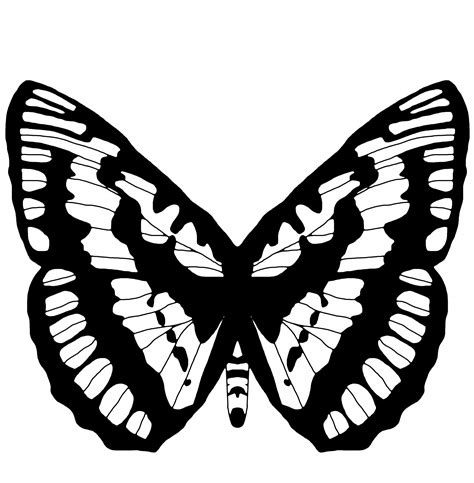 Butterfly Outline Free Stock Photo - Public Domain Pictures