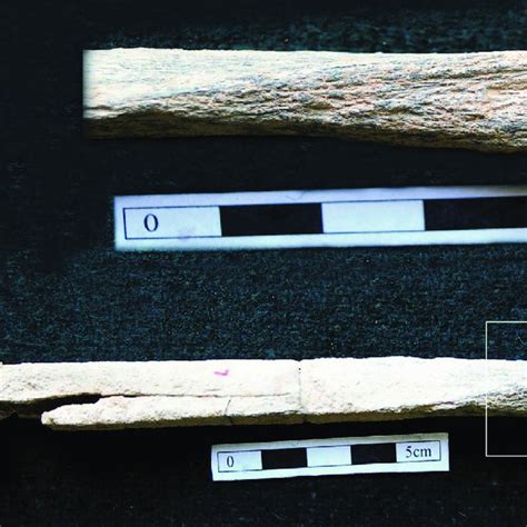 Bone Modification -Complete Bone (Bottom) and Close up of the Area (Top ...