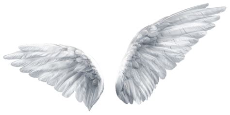 Wing Butterfly Angel Clip art - Angel wings png download - 3200*1600 ...