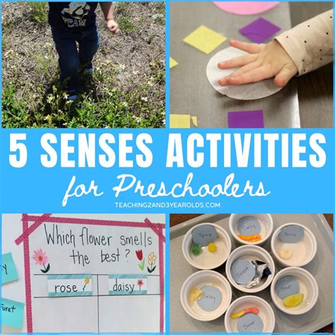 Activities Using the 5 Senses