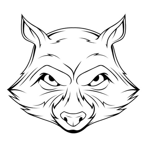 Premium Vector | Evil raccoon vector illustration of a sketch coon aggressive funny animal