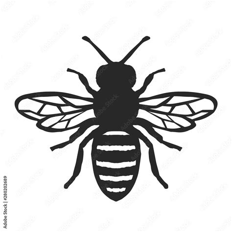 Honey Bee Icon. Black Bee On White Background. Vector Silhouette. Stock Vector | Adobe Stock