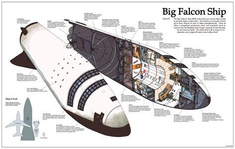 Cutaway diagram of the SpaceX BFR the 1st spaceship designed for manned interplanetary travel to ...