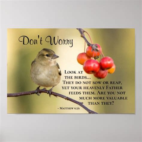 Matthew 6:26 Bible Verse, Don't Worry Poster | Zazzle.com