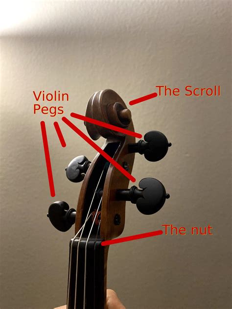 Violin Tuning | Theviolinlessons