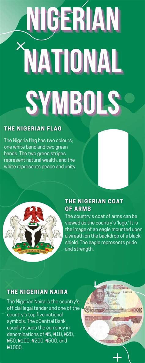 11 national symbols of Nigeria and their meanings explained - Legit.ng