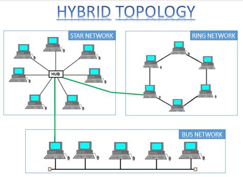 What are the types of network topology?