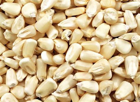 What Is Hominy and Why is it a Superior Version of Corn? — Eat This Not That