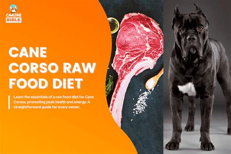 Cane Corso Raw Food Diet Guide: Recipes & Tips - Canine Bible