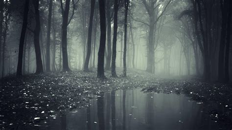 Creepy Forest Wallpapers - Top Free Creepy Forest Backgrounds - WallpaperAccess