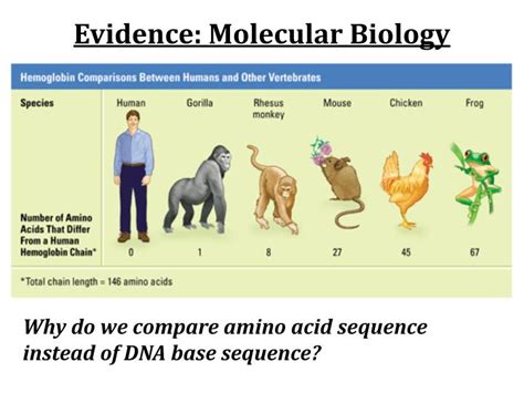 Examples Of Dna Evidence