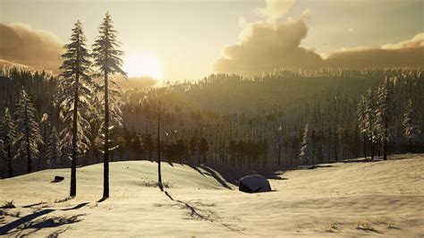 Winter Landscape on a Sunset 5645616 Stock Video at Vecteezy