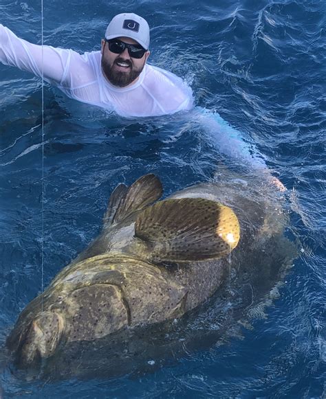 Goliath Grouper Fishing Clearwater FL | FishEye Sportfishing