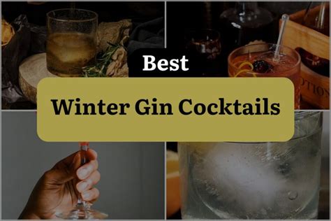 33 Winter Gin Cocktails to Warm Your Spirits This Season | DineWithDrinks