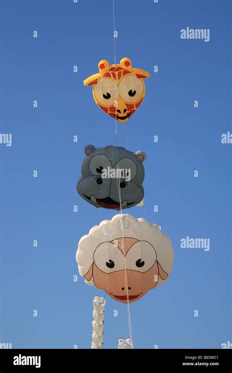 Giant kites hi-res stock photography and images - Alamy