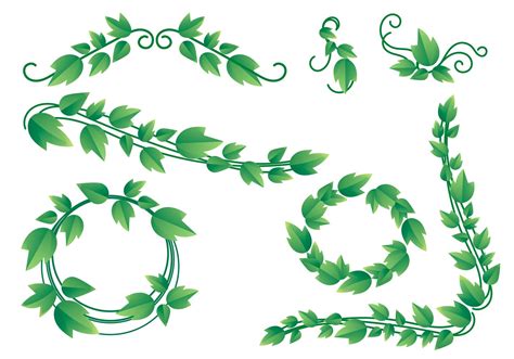 Lovely Ivy Vine Vectors - Download Free Vector Art, Stock Graphics & Images