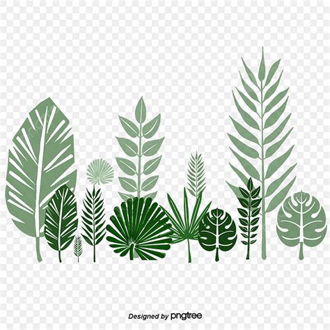 Leaf Texture PNG Picture, Color Leaf Texture, Color Clipart, Leaf, Color PNG Image For Free Download