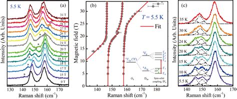 Raman scattering under extreme conditions