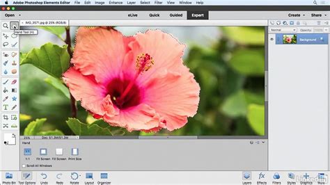 14 Photoshop Elements tutorials to try today | Creative Bloq