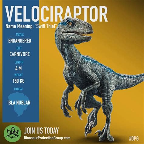 DinosaurProtectionGroup on Instagram: “We believe Blue is still alive. Help us save this ...