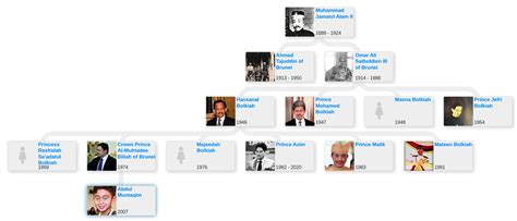 Family tree of the Sultan of Brunei - Blog for Entitree