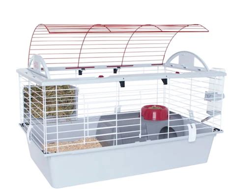 The 7 Best Guinea Pig Cages of 2022