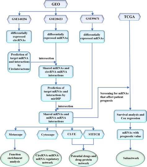 Frontiers | Construction of a circRNA-miRNA-mRNA Regulatory Network ...