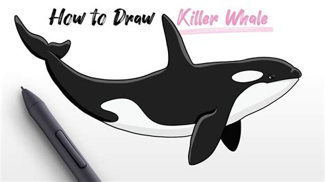 Orca Drawing