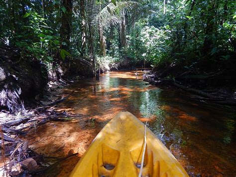 Amazon Rainforest Tours 3 Ways: Camping, Glamping & Luxury - Untamed Path Adventures