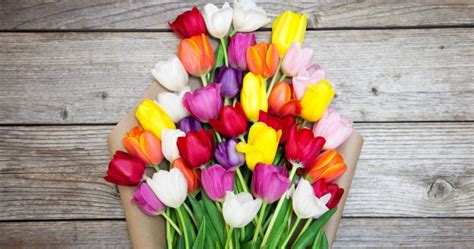 Flower Care Guide: Tulips Care Tips & Tricks | Bouqs Blog