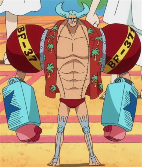 Image - Franky Anime Post Timeskip Infobox.png - The One Piece Wiki ...