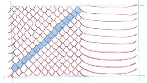 How to draw scales • John Muir Laws