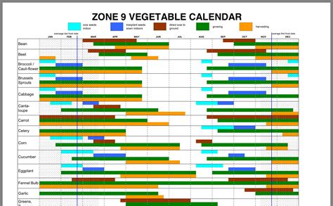 Zone 9A Planting Calendar