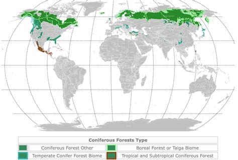 Taiga Biome Map