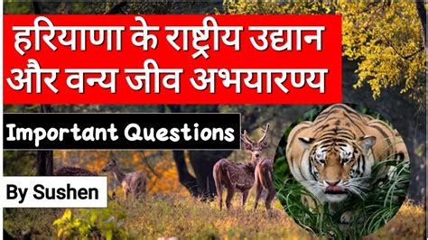 Haryana wildlife sanctuary//national parks //hssc - YouTube