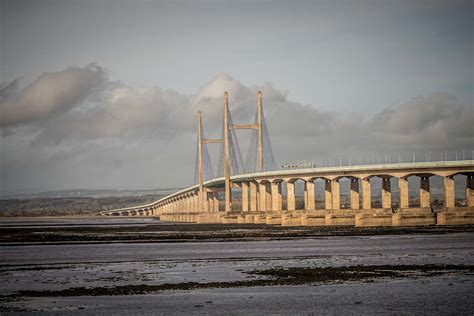 22nd October 2022 – Severn Estuary – Martin's Bird Blog & Nature Photos