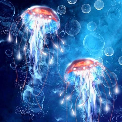 Jellyfish Wallpapers - Apps on Google Play