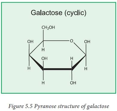 Fructose Structure Linear