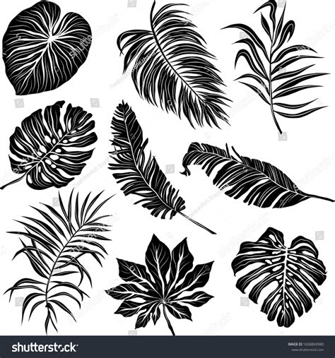 Palm Leaves Set Black White Stock Vector (Royalty Free) 1608869980